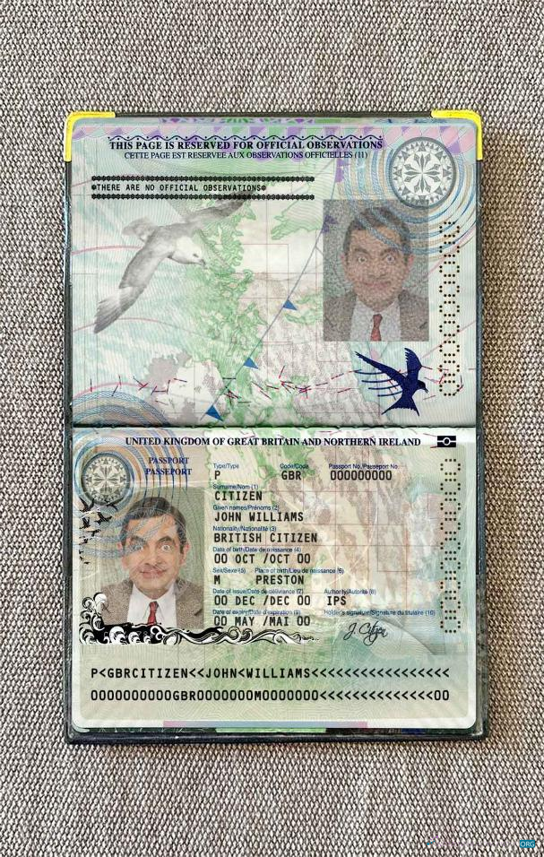 United Kingdom of Great Britain and Northern Ireland passport (2010 2015) photo look